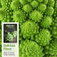 thumbnail image 3 of 5 Packs Romanesco Broccoli Seeds - Non-GMO Heirloom Full Sun Biennial Vegetable, 3 of 6