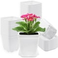 thumbnail image 1 of Nvzi Paquete de 24 macetas de plástico cuadradas para vivero, macetas de plástico de 3 pulgadas, maceta con bandeja y platillo para decoración de interiores, exteriores,color blanco, 1 of 5