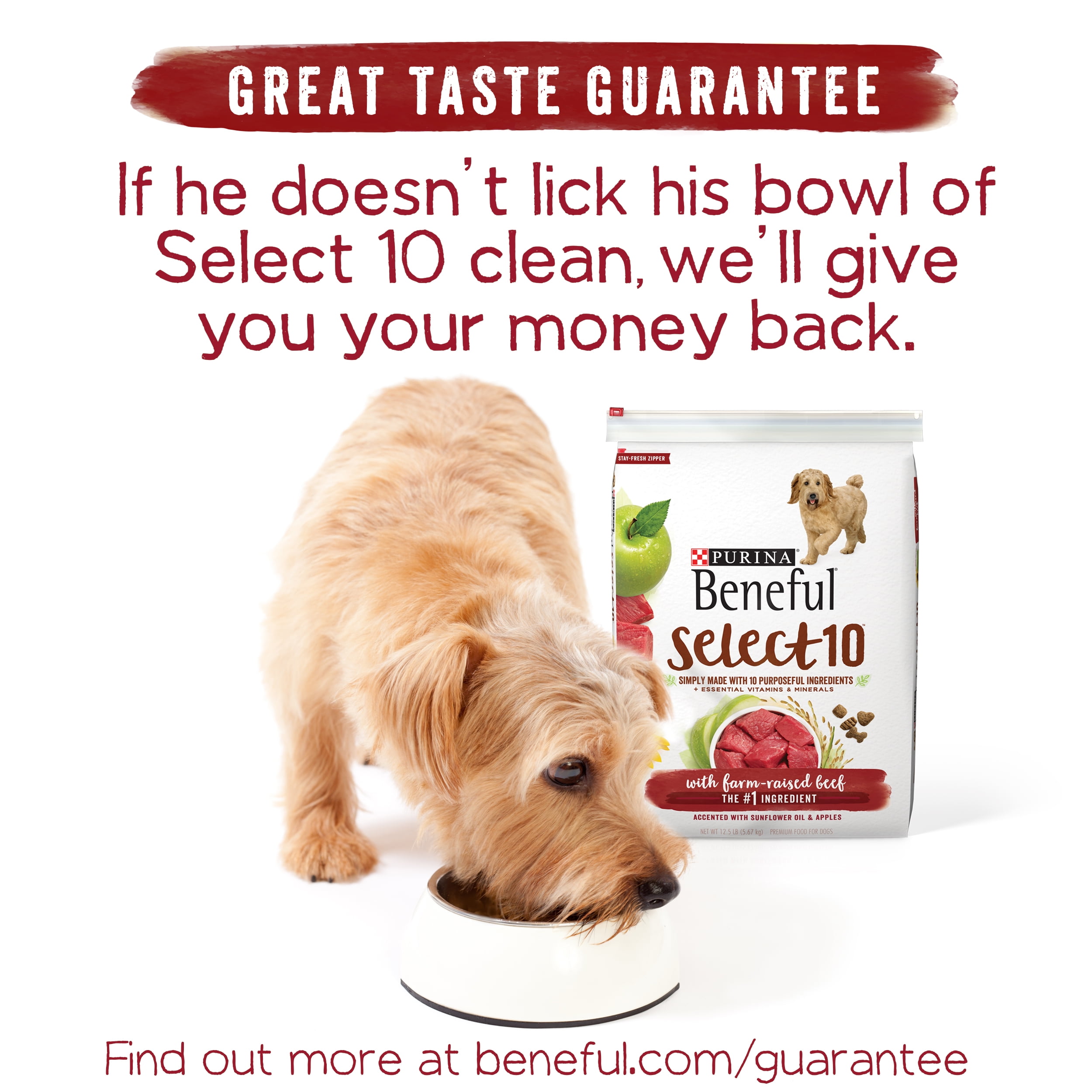 How Long Does Dog Food Last Once Opened - Food Ideas
