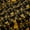 Gold, variant on Feelyou Maroon Mandala Damask Black Out Curtains, Cat Curtains Pack of 2 (42x63 Each)