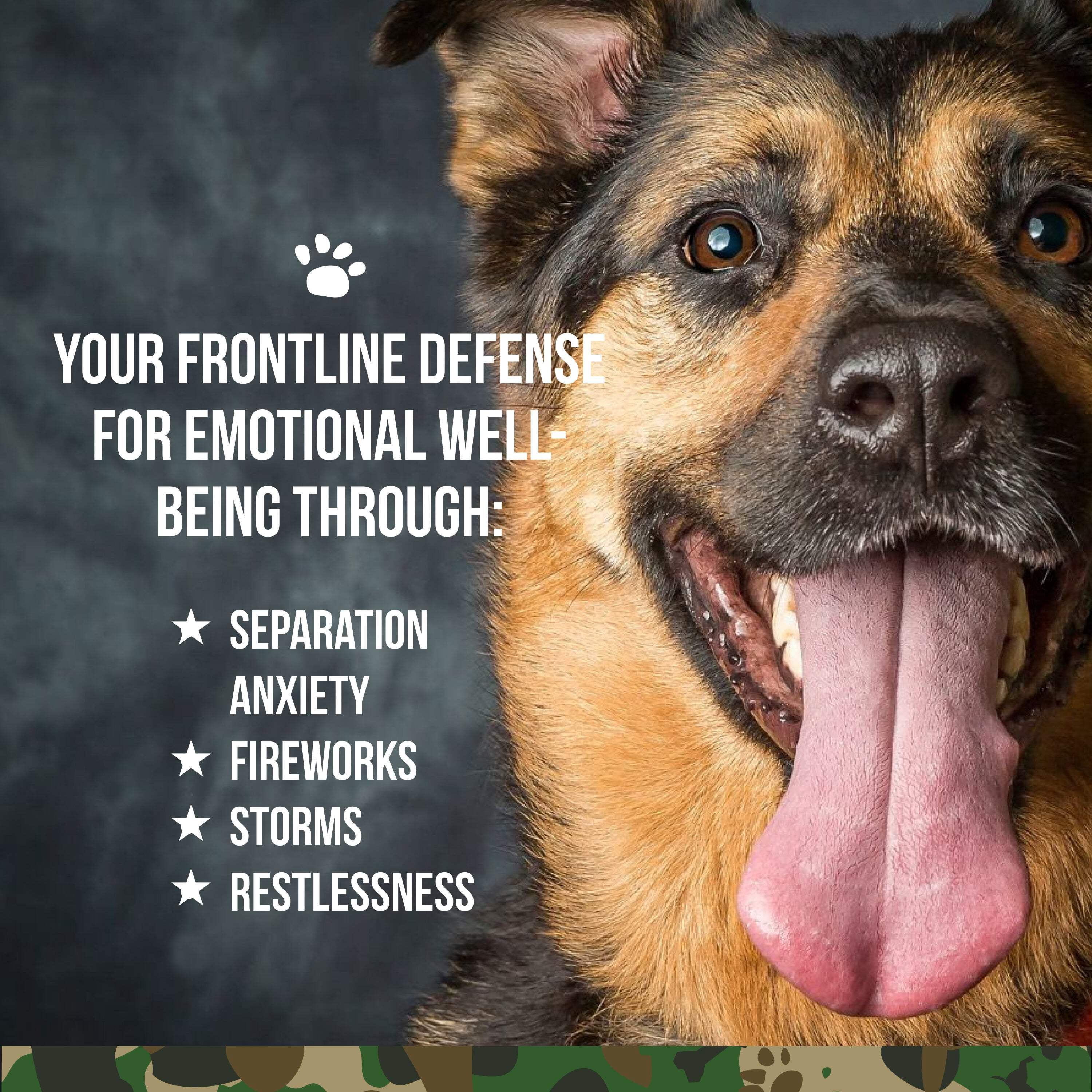 Operation Good Boy SRE: Calming Health Supplement for Dogs, Beef Liver Flavor, Ready to Eat, 90 Soft Chews