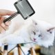 thumbnail image 2 of Cepillo alisador extra largo para perros grandes con pelo enmarañado Cepillo metálico para eliminar nudos, pelo suelto y pelo muerto de gatos, 2 of 3