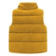 thumbnail image 6 of Hicidod Baby Corduroy Vest Solid Color Windproof Winter Warm Jackets Zip Up Sleeveless Button Stand Collar Waistcoat Deals of the Week, 6 of 7