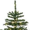 thumbnail image 3 of Vickerman 36" Anoka Pine Artificial Christmas Tree, Warm White Dura-lit LED Lights, 3 of 6