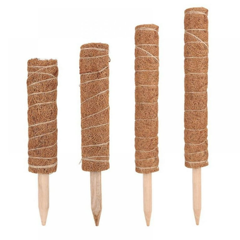 P*n様 MOSS STICK PT64 MIXC 8 Pieces 15 in. Plastic Moss Pole for Plants Monstera