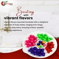 thumbnail image 4 of NY Spice Shop Assorted Gumballs Tray - 2 Pound - Assorted Fruit Flavors, 4 of 7