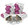 thumbnail image 2 of Charles Leonard Standard Paper Clips, 10000 Count, 2 of 2