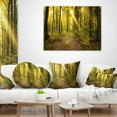 thumbnail image 3 of Designart Sunset in Green Autumn Forest - Modern Forest Throw Pillow - 16x16, 3 of 4