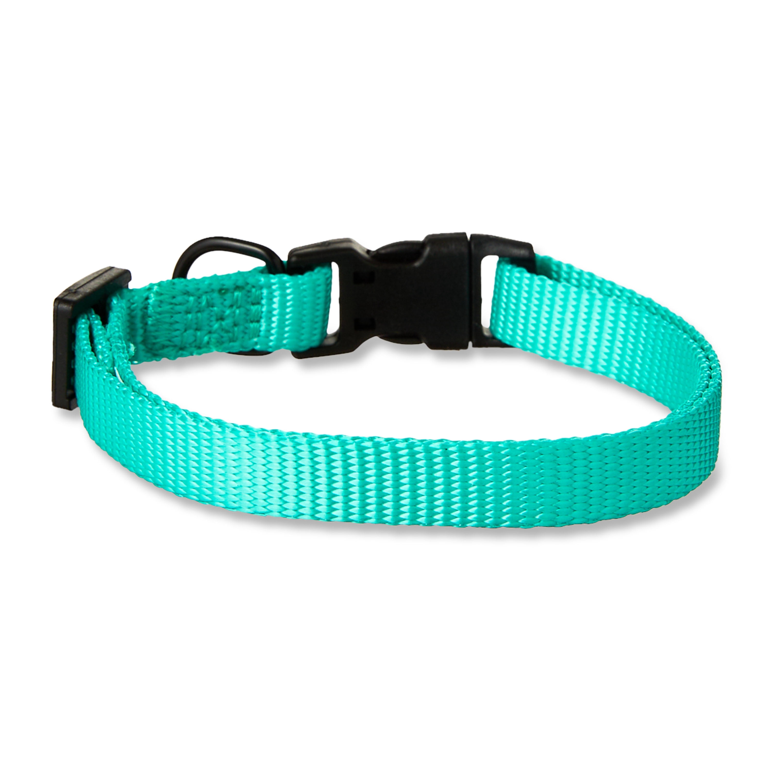 Vibrant Life Polyester Adjustable Dog Collar, Teal, S