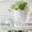 A, variant on Self Watering Planter African Violet Pots Clear Automatic Watering Planter Flower Pot Square Pot For All Succulents Small Ceramic Flower