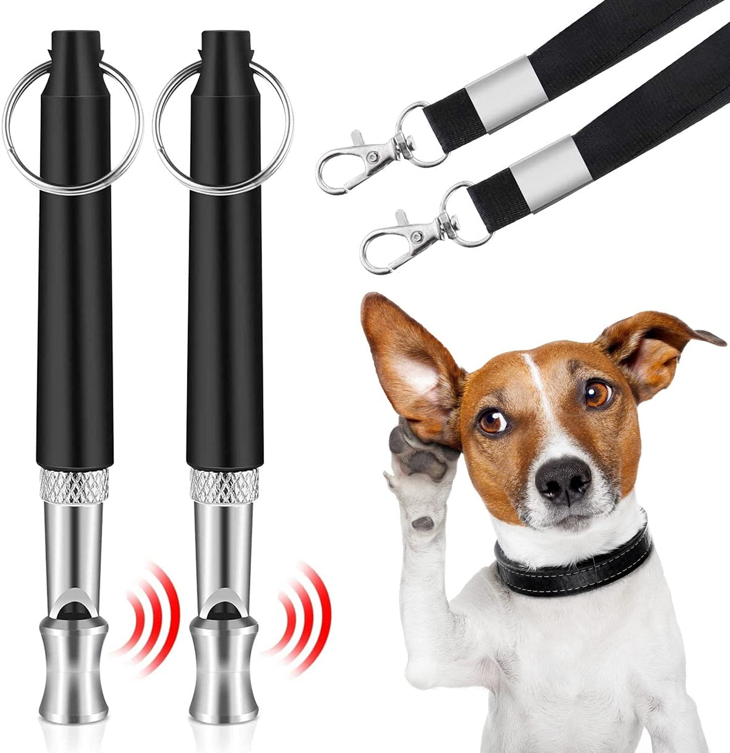 Can You Train A Dog With A Dog Whistle