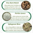 thumbnail image 4 of Orchid Potting Mix Orchid Soil with Sphagnum Moss Pine Bark Mulch Perlite Stone for Plants Orchid Mix Potting Soil for Indoor Container Gardening, 4 of 8