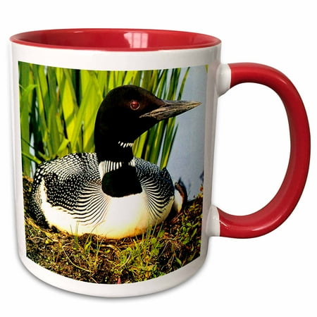 

Loon Duck 11oz Two-Tone Red Mug mug-709-5