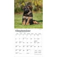 thumbnail image 4 of German Shepherd Puppies | 2026 7x14" (Hanging) Mini Wall Calendar | BrownTrout, 4 of 9