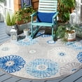 thumbnail image 3 of SAFAVIEH Cabana Aria Cream/Red 2'X8' Runner Indoor/Outdoor Area Rug Grey/Blue, 6'7" x 6'7" Round, 3 of 14