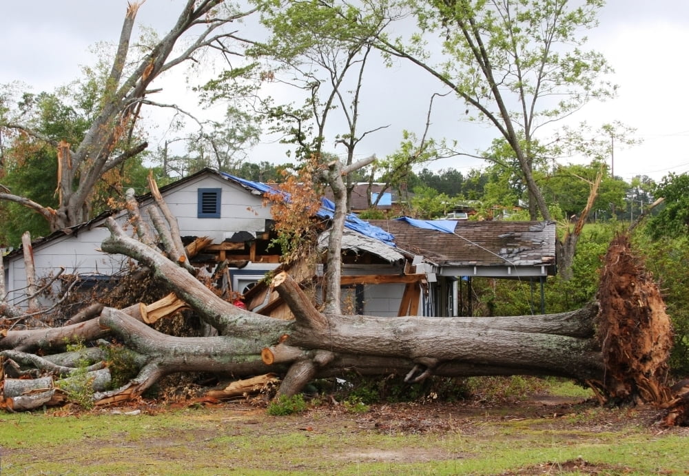 Tornado Aftermath In La Grange April 27 2011. History (24 x 18