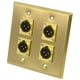 thumbnail image 2 of Audio sísmico SA-PLATE17 2 Gang XLR Macho Acero Inoxidable Oro Placa d, 2 of 2