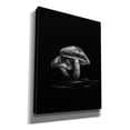thumbnail image 2 of Epic Graffiti 'Toadstools On A Trail No 2' by Brian Carson, Giclee Canvas Wall Art, 26"x34", 2 of 8