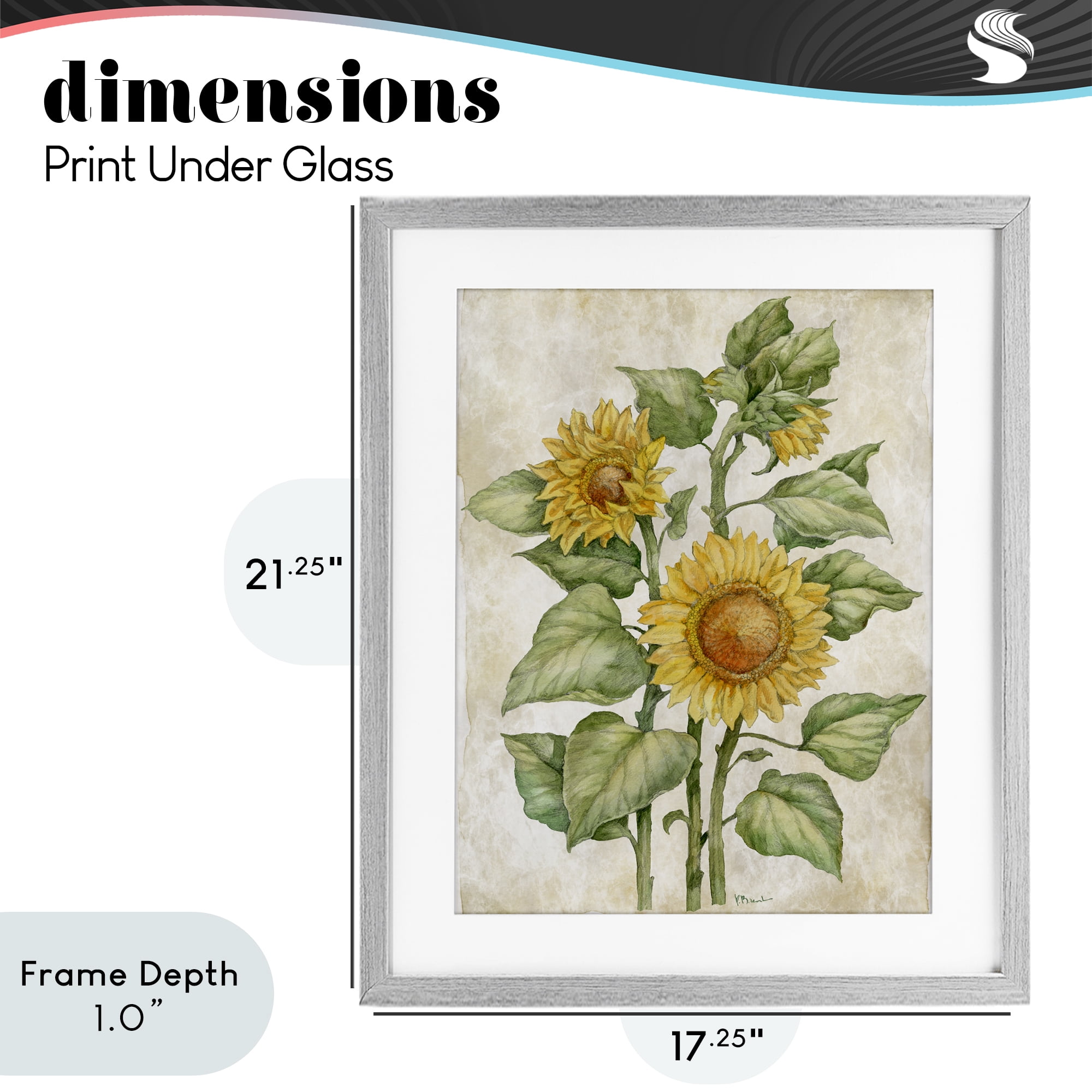 Stupell Industries Floral Journal Sunflower Gray Framed Print Under Glass, design by Paul Brent