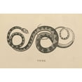 thumbnail image 3 of Wild Apple Portfolio 18x13 Black Modern Framed Museum Art Print Titled - Vintage Viper, 3 of 5