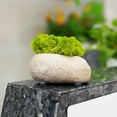 thumbnail image 6 of Artificial Green Plants Eternal Life Moss DIY Grass Garden Crafts Home Room Decor Mini Landscape Fake Grass 20/1000g, 6 of 9