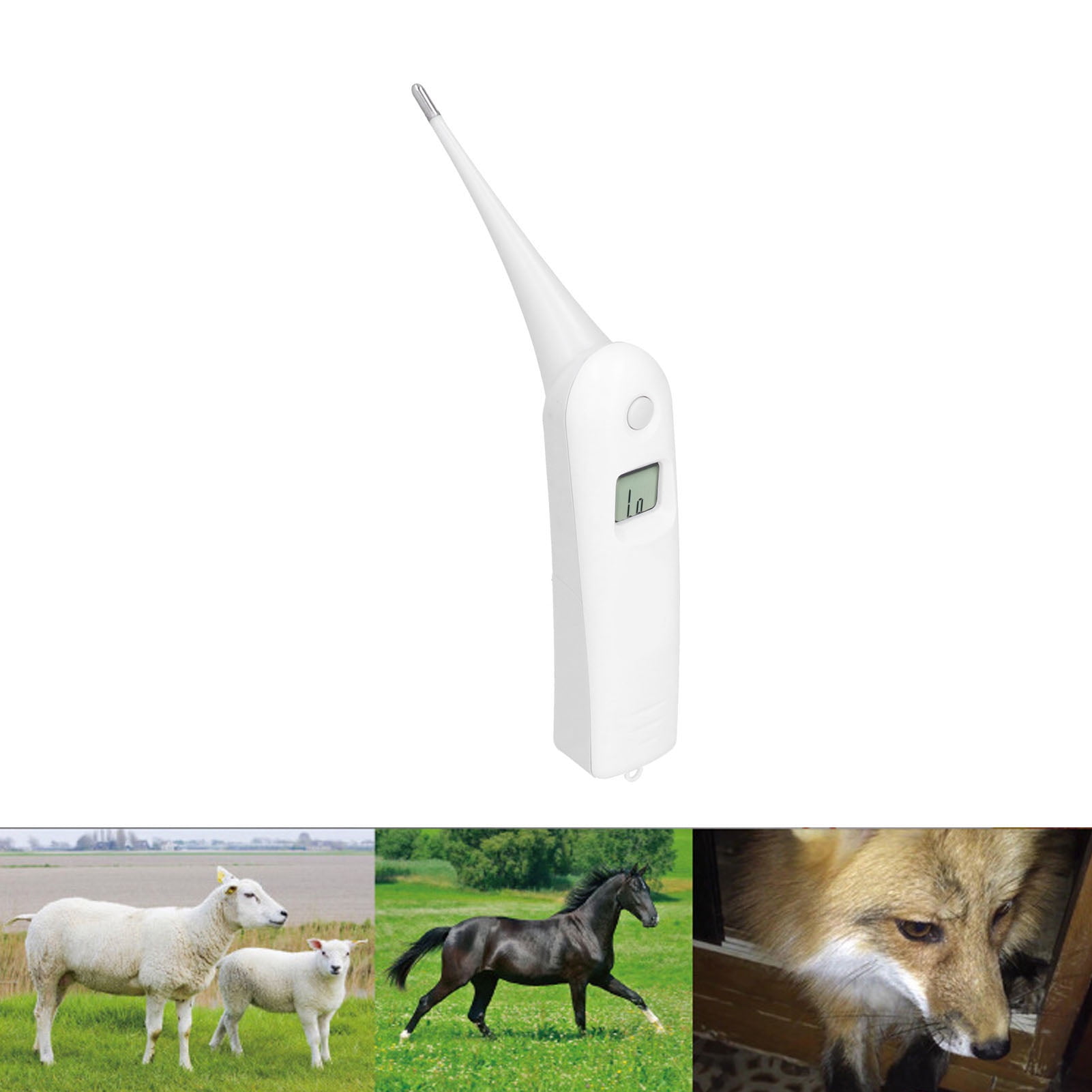 Zaqw Anus Thermometer,Livestock Thermometer,Animal Electronic