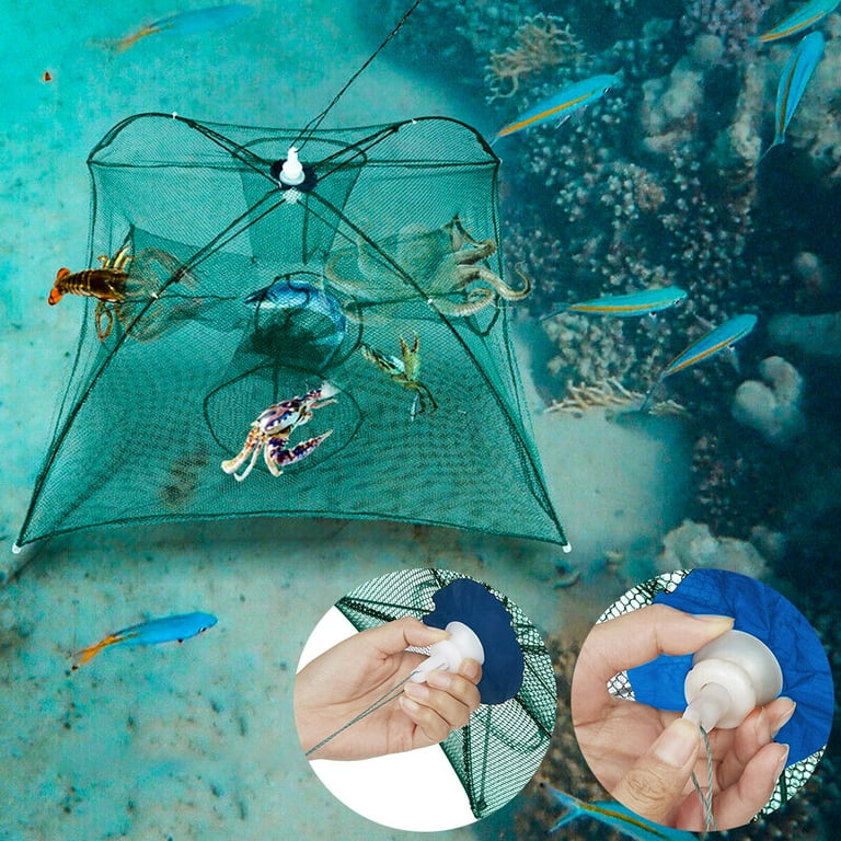 EZONEDEAL Fishing Bait Trap Foldable Fish Minnow Crab Crayfish Crawdad  Shrimp Net Trap Cast Net Dip Cage 6 Hole