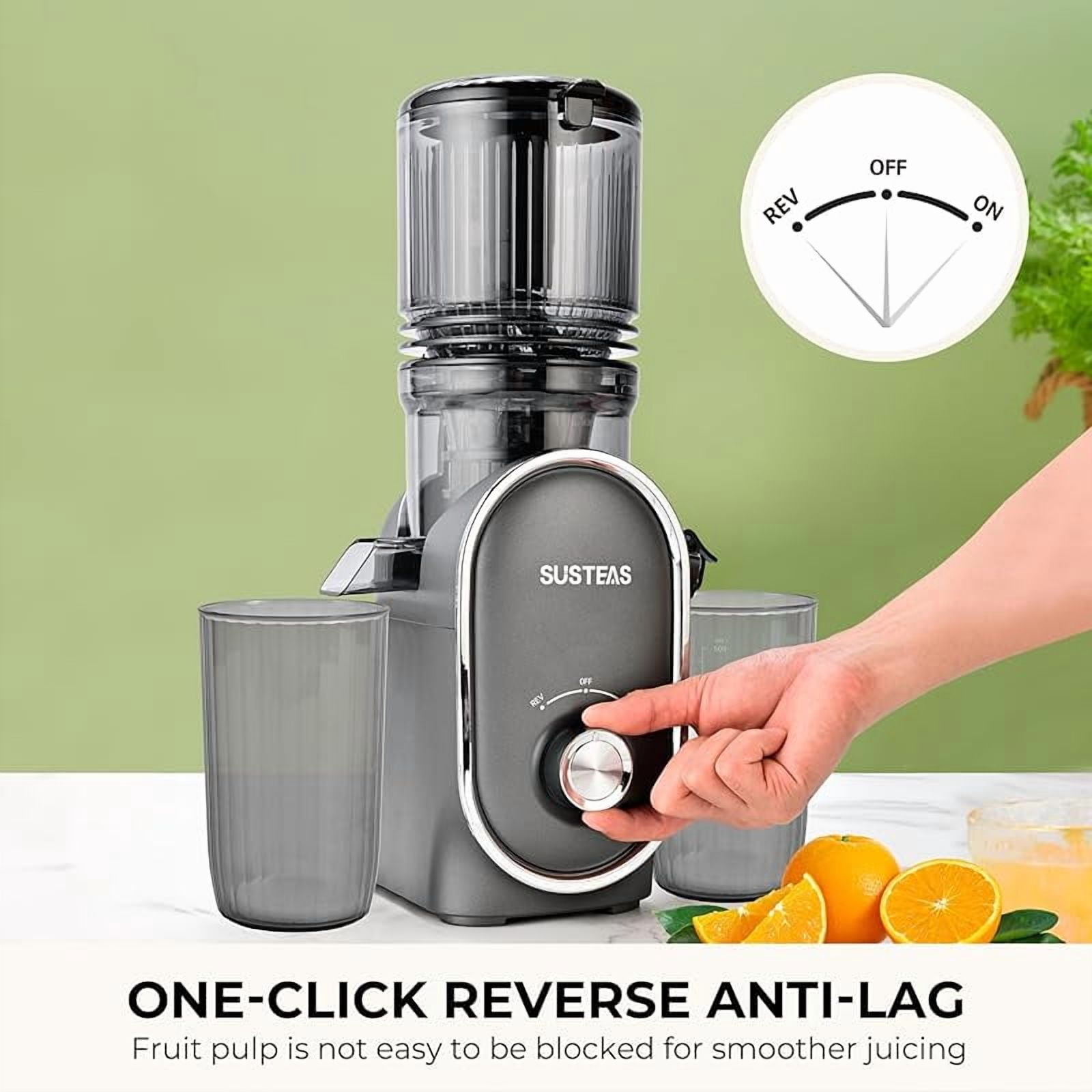 SUSTEAS Cold Press Juicer Machines, 5.3" Feed Chute(50oz Capacity), 300W Slow Masticating Juice Extractor for Whole Fruits and Vegetables, Automatic Feed, Easy to Clean, High Juice Yield,Silver gray