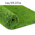 thumbnail image 3 of Cqxid Carpet Under $15 Simulation Bryophyte Wall Shop Window Landscaping False Bonsai Decoration False Immortal Multicolor, 3 of 9