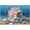 500 PCS, variant on 500 Piece Shells and Starfish Ocean Landscape in Glass Jar HD Quality Puzzle for Adults, 20.5x15 in – Family Activity, Relaxing Home Decor