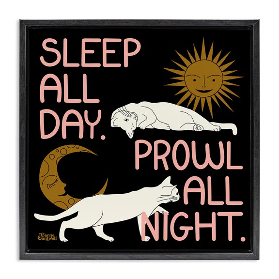 Stupell Industries Modern Sleep & Prowl Cats Black Floating Frame Canvas Art, 18 x 18, by Carrie Cantwell