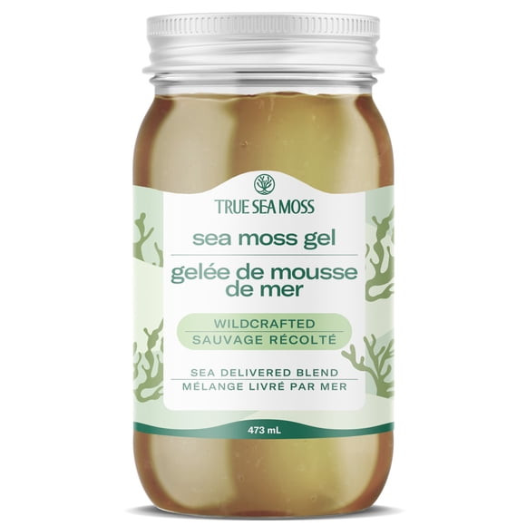 TrueSeaMoss Sea Moss Gel - Alternative Form of Sea Moss - Wildcrafted Irish Sea Moss Gel - Sea Moss Gel Organic Raw - Made in the USA - Wildcrafted Sea Moss Gel 473ml (16 Fl Oz)