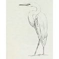thumbnail image 2 of Caroline, Emma 12x14 Gold Ornate Wood Framed with Double Matting Museum Art Print Titled - Erect Egret IV, 2 of 4
