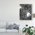 thumbnail image 3 of Trademark Fine Art 'Buckminster I' Canvas Art by Renee W. Stramel, 3 of 4
