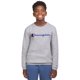 thumbnail image 1 of Sudadera Champion para niños, tipo pulóver, de felpa, cuello redondo, 1 of 8