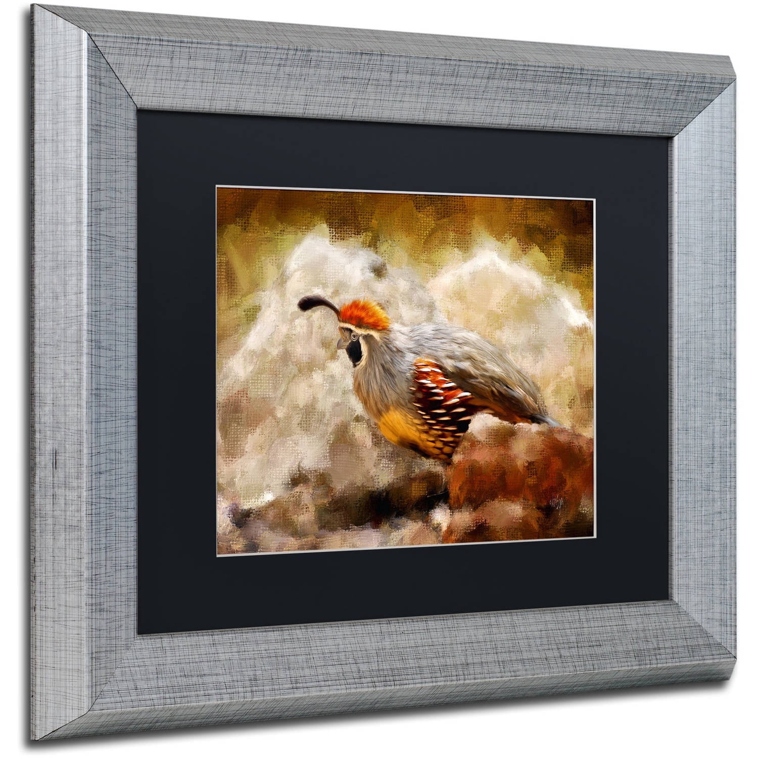 Trademark Fine Art "Hurrying Quail" Canvas Art by Lois Bryan Black Matte, Silver Frame