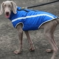 thumbnail image 4 of relayinert Polyester Fait Veste pour Chiens Durable et Anti-Rayures Exquise Artisanat Chiens Réfléchissants Veste Jaune 2XL, 4 of 6