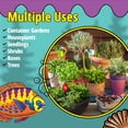 thumbnail image 3 of FoxFarm Ocean Forest Potting Soil - Organic, Drainage Holes - 12 qt, 3 of 6