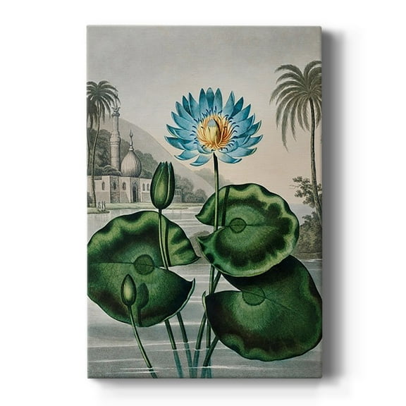 Temple of Flora IX Premium Gallery Wrapped Canvas - Ready to Hang