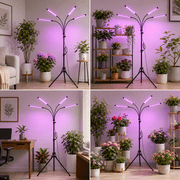DAYBETTER Grow Light for Indoor Plants, 4 Heads Full Spectrum Plant Light with Adjustable Stand, 3 Light Modes Grow Lamp with Auto Timer & 10 Dimmable Brightness