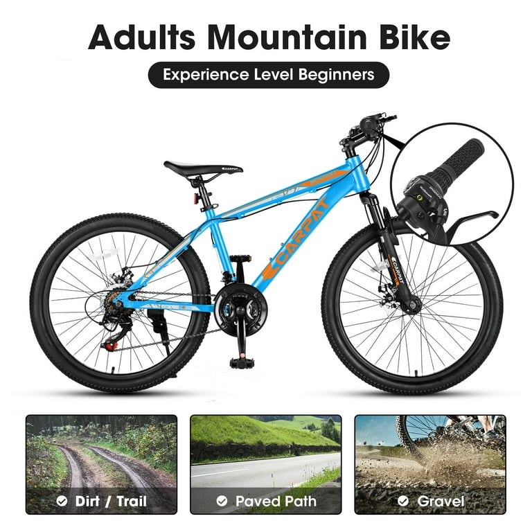 17 bike 2025 frame
