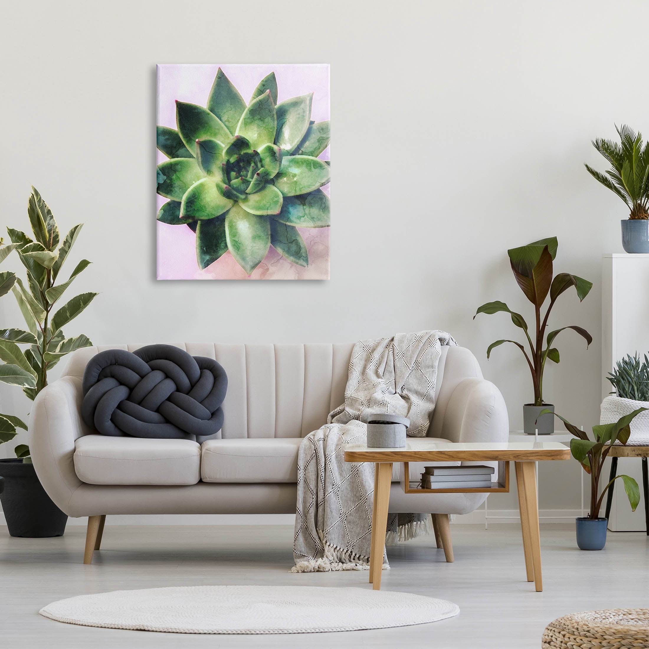 Round Succulent Plant Leaves Botanical & Floral Graphic Art Gallery Wrapped Canvas Print Wall Art
