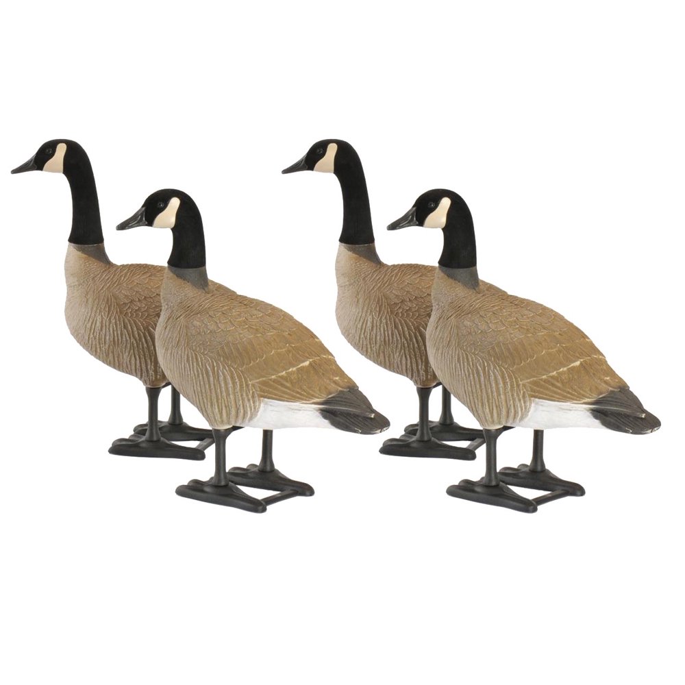 Big Foot BigFoot Bull Canada Goose Decoy Pack of 4