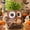 Brown, variant on Quoowiit 4.9" x 5.1" x 4.5" Resin Blue Owl Rocking Chair Plant Pot with Drainage Holes