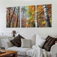 thumbnail image 2 of nygtbtfer  Nature Scene Canvas Wall Art - Forest Landscape Picture Painting Yellow Fallen Leaves Artwork Trees Path Park Print with Frame for Living Room Bedrooms 12x16x3pcs, 2 of 4