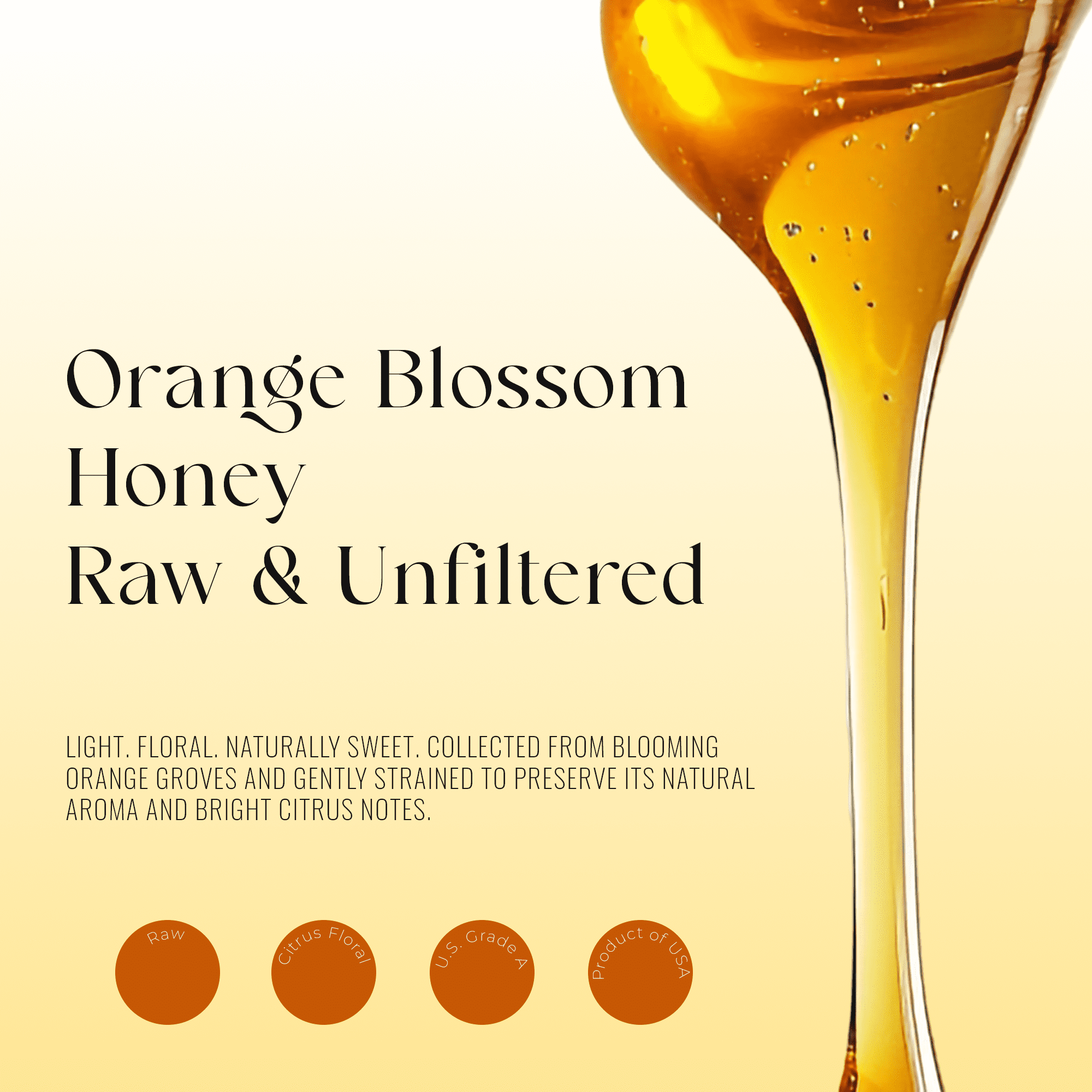 3 Packs of Orange Blossom - Natural Honey 12 oz Each