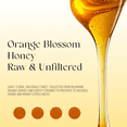 thumbnail image 4 of 3 Packs of Orange Blossom - Natural Honey 12 oz Each, 4 of 5