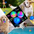 thumbnail image 3 of Juguete para perros Sumind Light Ball que brilla en la oscuridad con LED, 3 unidades, 3 of 7