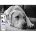 thumbnail image 3 of Folex Carpet Cleaner, 32oz + Daley Mint Towel - Instant Spot Remover Carpet Spray for Upholstery, Rugs, Carpets, Home Cleaning, 3 of 5