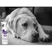 Folex Carpet Cleaner, 32oz + Daley Mint Towel - Instant Spot Remover Carpet Spray for Upholstery, Rugs, Carpets, Home Cleaning